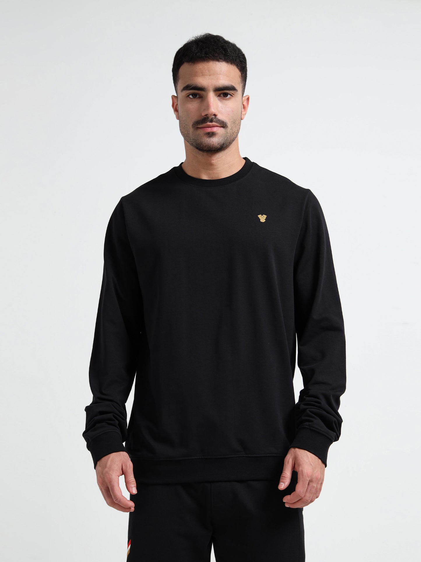 Logo Emblem Rougen Lycra Loop Knit Black Sweatshirt