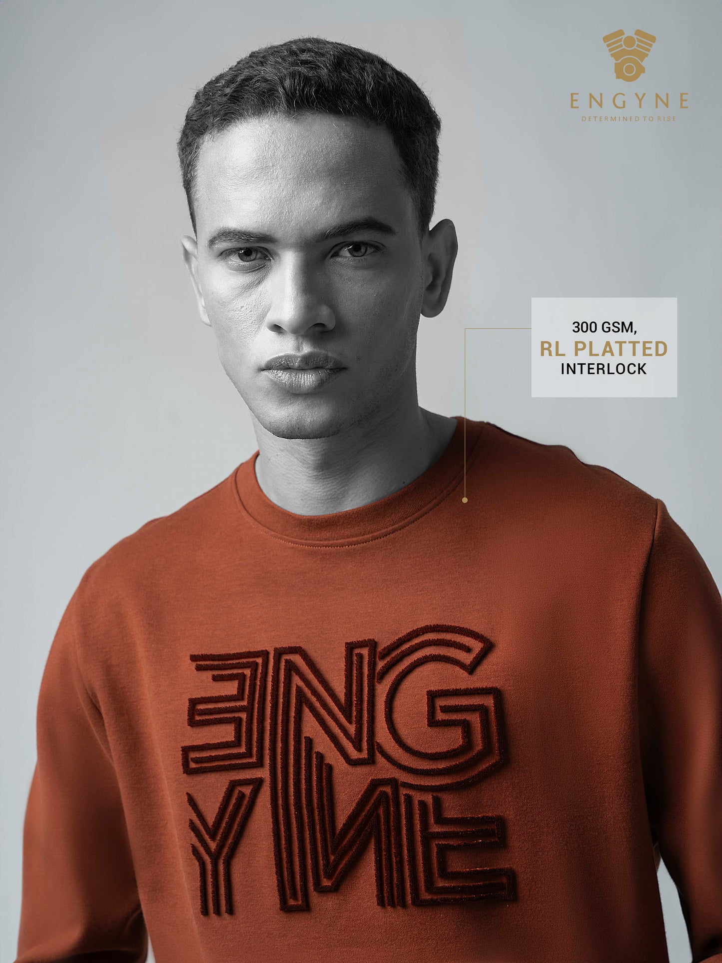 Crew Neck Brown Sweatshirt with Engyne' Embroidery for Men