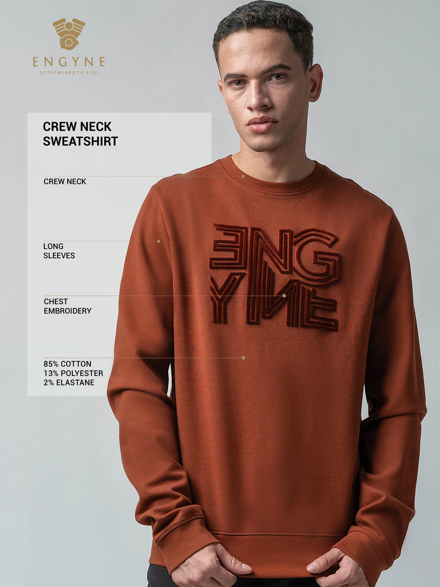 Crew Neck Brown Sweatshirt with Engyne' Embroidery for Men
