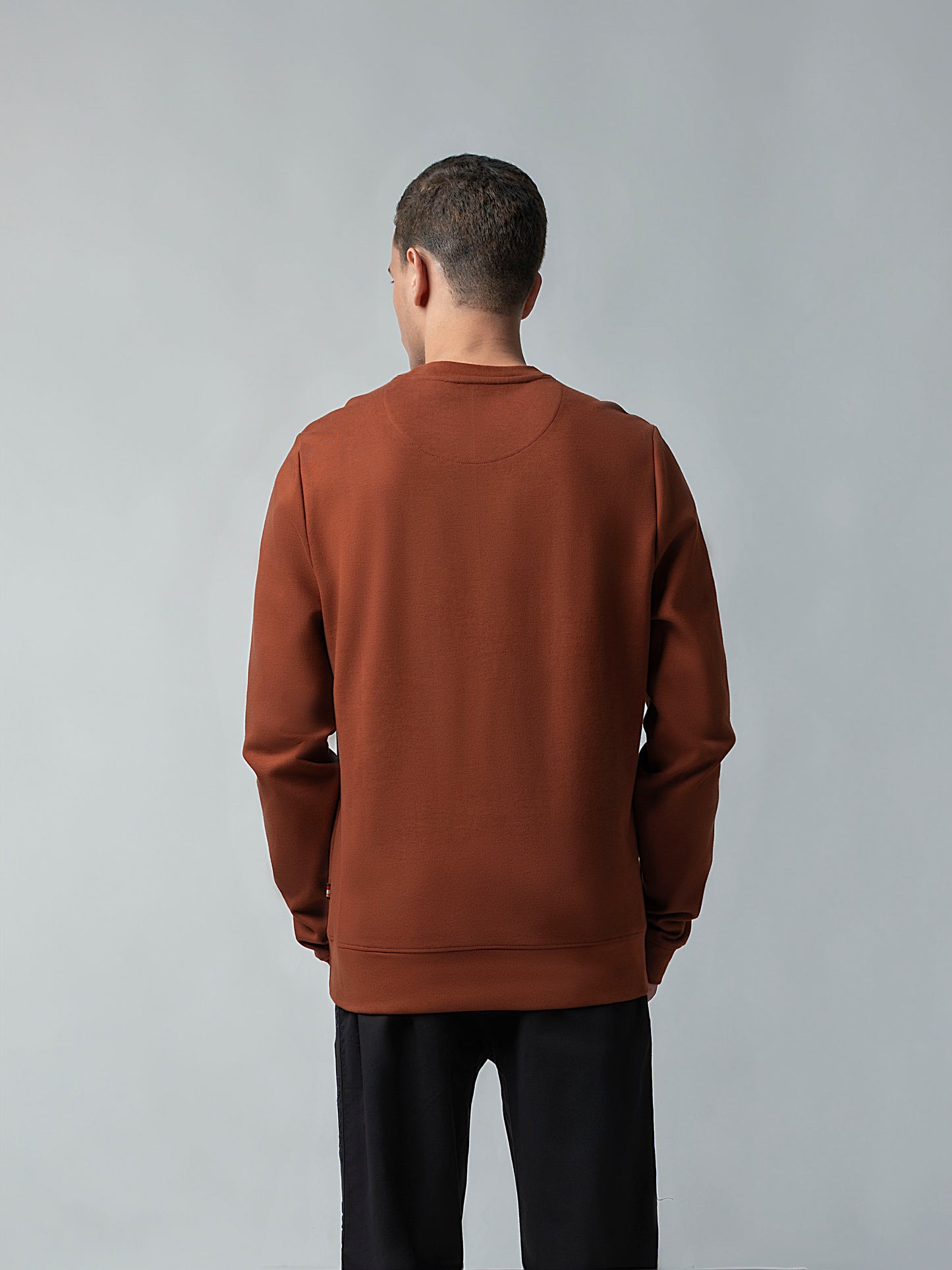 Crew Neck Brown Sweatshirt with Engyne' Embroidery for Men