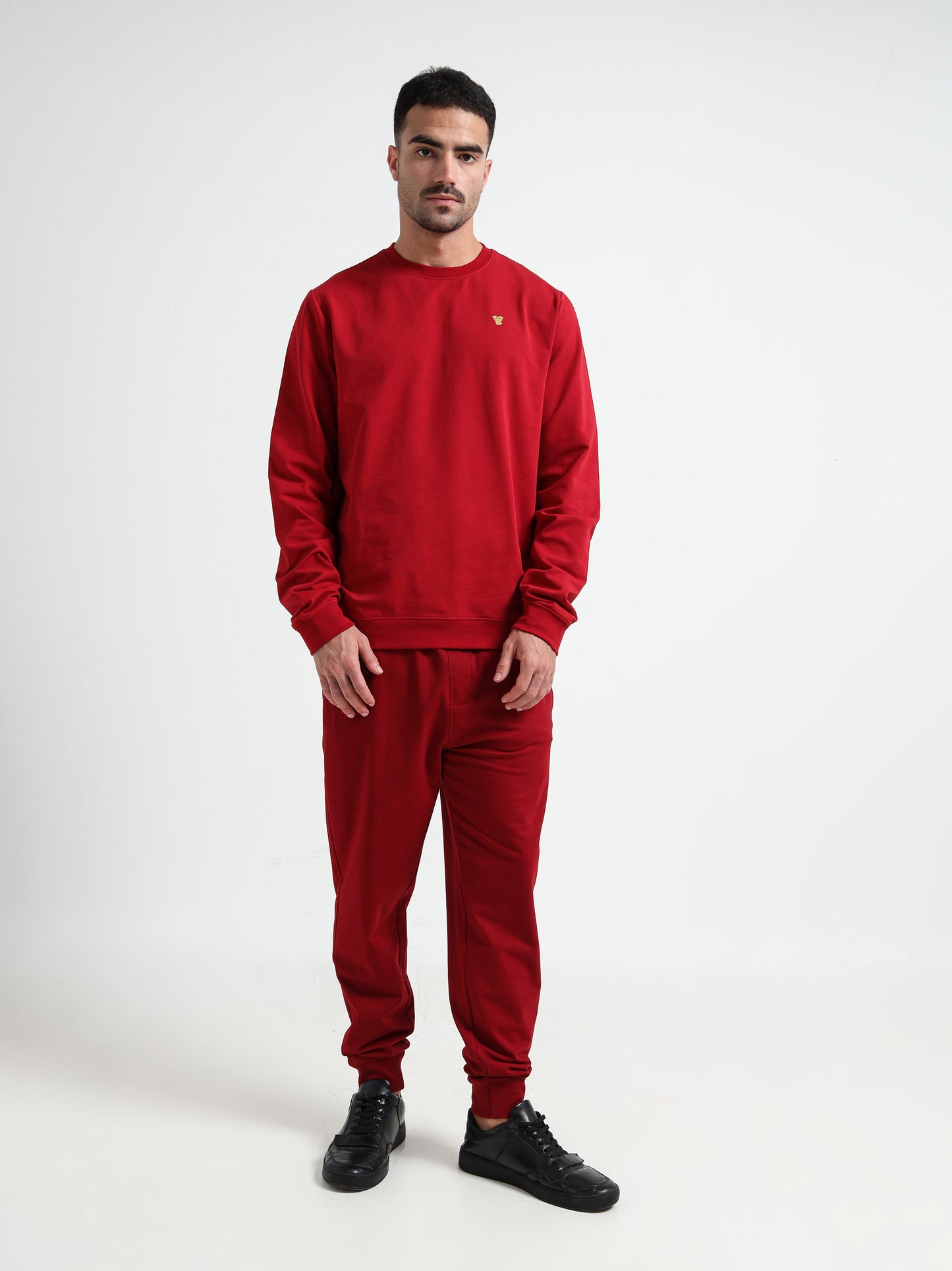Rougen Lycra  Dark Red Jogger for Men