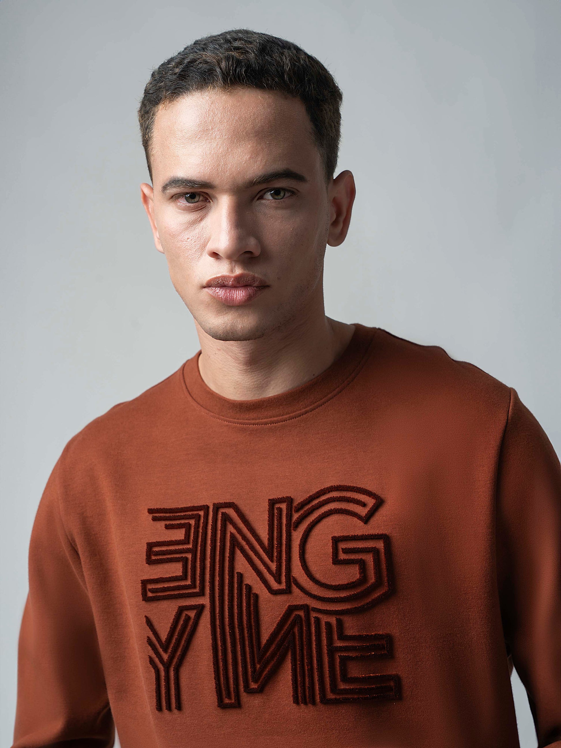 Crew Neck Brown Sweatshirt with Engyne' Embroidery for Men